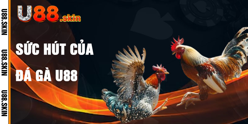 Đá Gà U88 Và Sức Hút Giải Trí